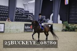 25BUCKEYE_08780 thumbnail