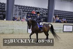 25BUCKEYE_08781 thumbnail