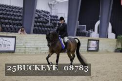 25BUCKEYE_08783 thumbnail