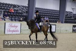 25BUCKEYE_08784 thumbnail