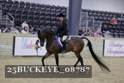 25BUCKEYE_08787 thumbnail