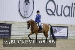 25BUCKEYE_08788 thumbnail