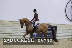 25BUCKEYE_08790 thumbnail