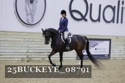 25BUCKEYE_08791 thumbnail