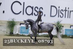 25BUCKEYE_08793 thumbnail