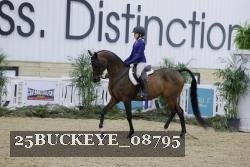 25BUCKEYE_08795 thumbnail