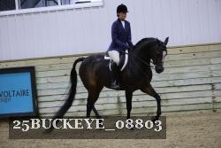 25BUCKEYE_08803 thumbnail