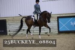 25BUCKEYE_08804 thumbnail