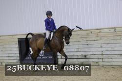 25BUCKEYE_08807 thumbnail