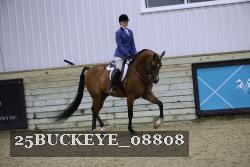 25BUCKEYE_08808 thumbnail