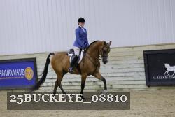 25BUCKEYE_08810 thumbnail