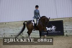 25BUCKEYE_08812 thumbnail