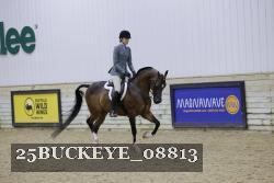 25BUCKEYE_08813 thumbnail