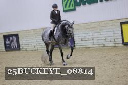 25BUCKEYE_08814 thumbnail