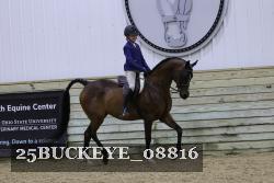 25BUCKEYE_08816 thumbnail