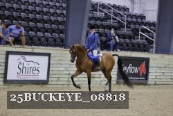 25BUCKEYE_08818 thumbnail