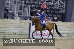 25BUCKEYE_08819 thumbnail