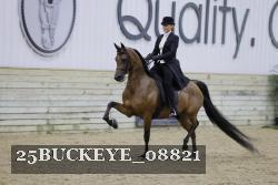 25BUCKEYE_08821 thumbnail