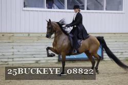 25BUCKEYE_08822 thumbnail