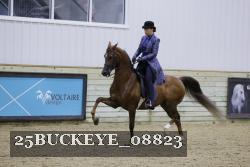 25BUCKEYE_08823 thumbnail