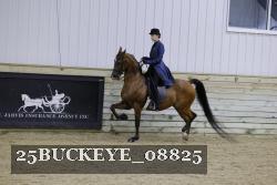 25BUCKEYE_08825 thumbnail