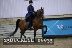 25BUCKEYE_08835 thumbnail