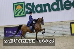 25BUCKEYE_08836 thumbnail