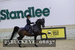 25BUCKEYE_08837 thumbnail