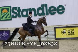 25BUCKEYE_08838 thumbnail