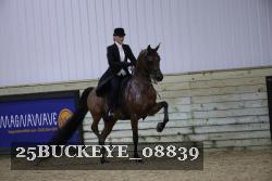 25BUCKEYE_08839 thumbnail
