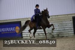25BUCKEYE_08840 thumbnail