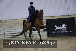 25BUCKEYE_08842 thumbnail