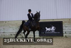 25BUCKEYE_08843 thumbnail