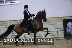 25BUCKEYE_08844 thumbnail