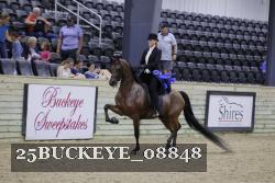 25BUCKEYE_08848 thumbnail