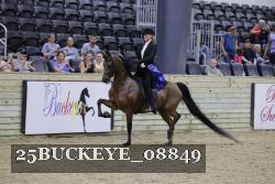 25BUCKEYE_08849 thumbnail
