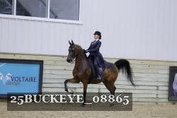 25BUCKEYE_08865 thumbnail