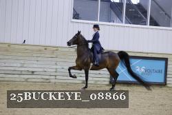 25BUCKEYE_08866 thumbnail