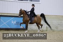 25BUCKEYE_08867 thumbnail