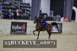 25BUCKEYE_08871 thumbnail