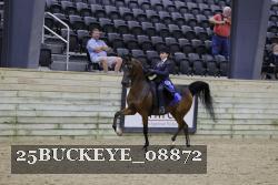 25BUCKEYE_08872 thumbnail
