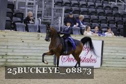 25BUCKEYE_08873 thumbnail