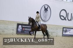 25BUCKEYE_08877 thumbnail