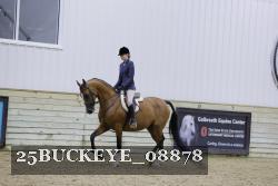 25BUCKEYE_08878 thumbnail