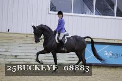 25BUCKEYE_08883 thumbnail