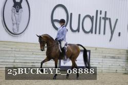 25BUCKEYE_08888 thumbnail