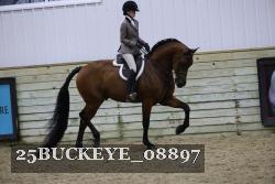 25BUCKEYE_08897 thumbnail