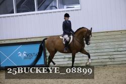 25BUCKEYE_08899 thumbnail