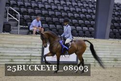 25BUCKEYE_08903 thumbnail