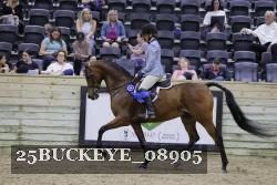 25BUCKEYE_08905 thumbnail